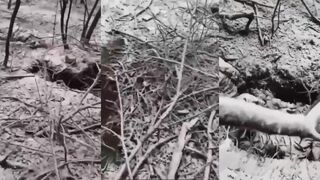 Winter in Ukraine / 2 frozen Russian soldiers