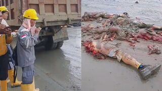 Foreign Worker Mangled By Truck In Central Sulawesi