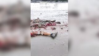 Foreign Worker Mangled By Truck In Central Sulawesi