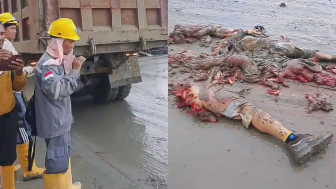 Foreign Worker Mangled By Truck In Central Sulawesi
