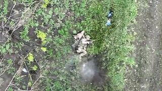 Brutal Drone Kill