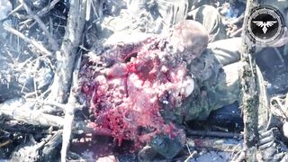 Brutal Drone Kill 2(REPOST)