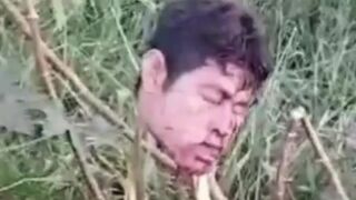 Head Hanging from Bushes