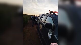 Head Hanging from Bushes