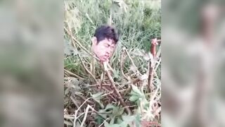 Head Hanging from Bushes