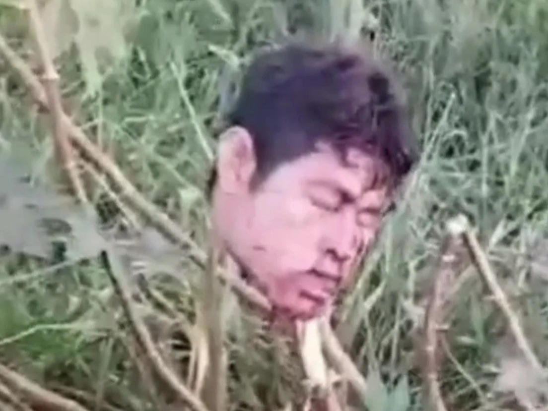 Head Hanging from Bushes