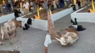 Skinny Girl Gored By Bull At Festival In Mexico