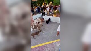 Skinny Girl Gored By Bull At Festival In Mexico