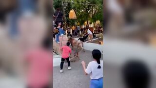 Skinny Girl Gored By Bull At Festival In Mexico