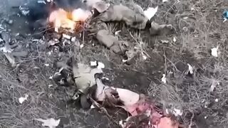 A montage of Russian occupiers, literally a montage