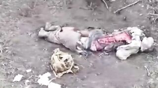 A montage of Russian occupiers, literally a montage
