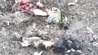 A montage of Russian occupiers, literally a montage