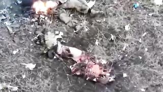 A montage of Russian occupiers, literally a montage