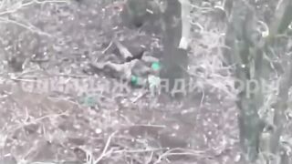 Ukrat goes from shit to suicide.