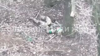 Ukrat goes from shit to suicide.