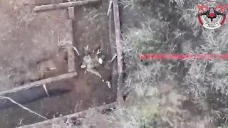 From a broken leg to no leg and dead.
