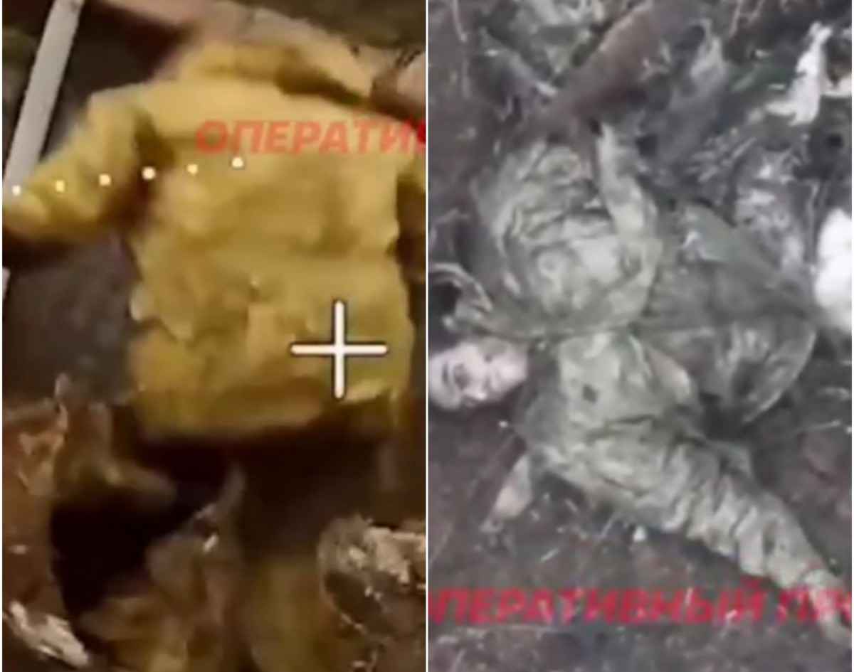 From a broken leg to no leg and dead.
