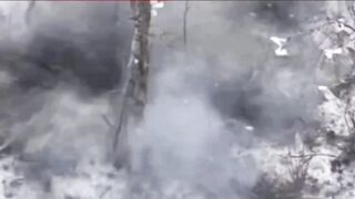 A swarm of Russian drones stood in their way.