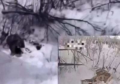 A swarm of Russian drones stood in their way.