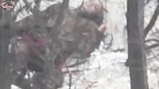 31 Russian assault groups destroyed in the Gulyaypole area