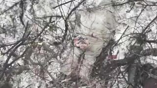 31 Russian assault groups destroyed in the Gulyaypole area