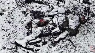 31 Russian assault groups destroyed in the Gulyaypole area