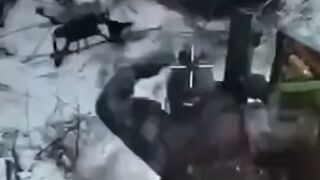 Face to face with a drone