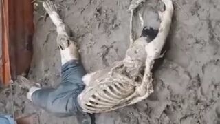 He Became A Food For Amazon River Fishes