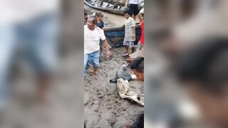 He Became A Food For Amazon River Fishes