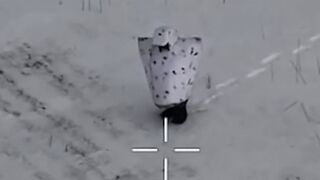 LoL "Great" camouflage didn't help