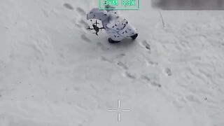 LoL "Great" camouflage didn't help