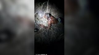 Gang Members Use A Shot Gun To Executed Scared Rival