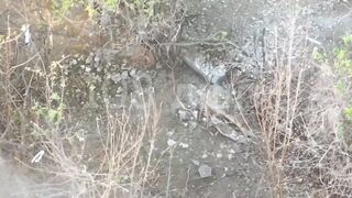 The opponent has been eliminated