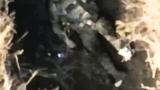 Terrifying moments of war
