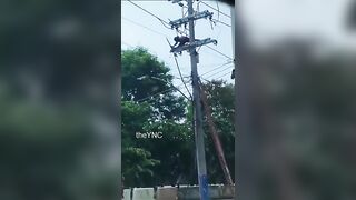 Dude Stealing A Copper Cable Gets Electrocuted