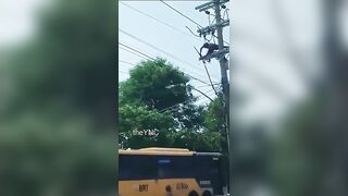 Dude Stealing A Copper Cable Gets Electrocuted