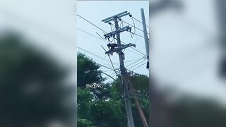 Dude Stealing A Copper Cable Gets Electrocuted