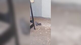 Shop Owner Kills Armed Robber but His Girlfriend Got Fatally Shot Also