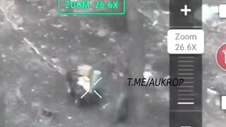 Ukrainian surrenders too late.