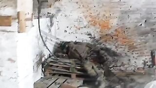 40 Ukrainian rats exterminated.