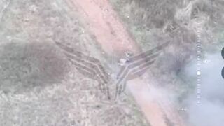 40 Ukrainian rats exterminated.