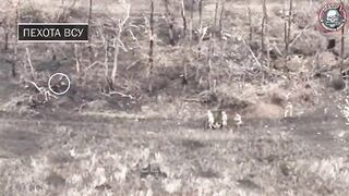 The rescue ends badly.