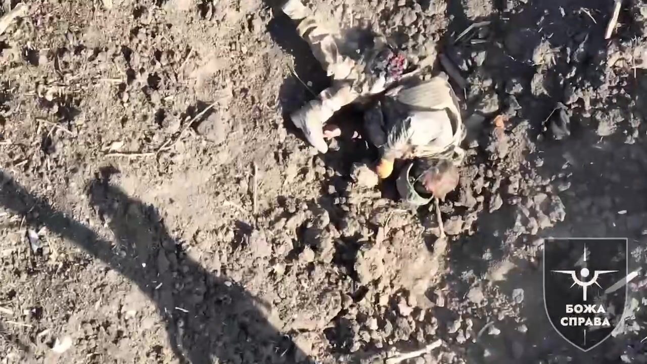 Realities of war 4