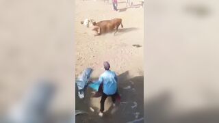 Man Dies After Being Gored By Bull During Festival In Colombia
