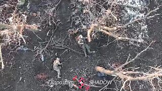 Realities of war 8