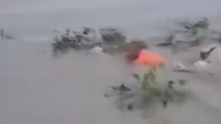 Man attacked by a crocodile while attempting to swim across the  river