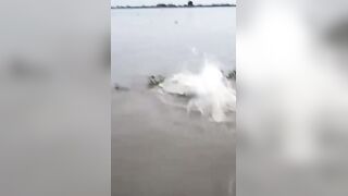 Man attacked by a crocodile while attempting to swim across the  river