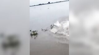 Man attacked by a crocodile while attempting to swim across the  river