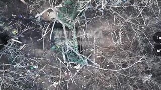 Realities of war 14