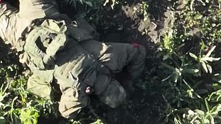 Realities of war 17